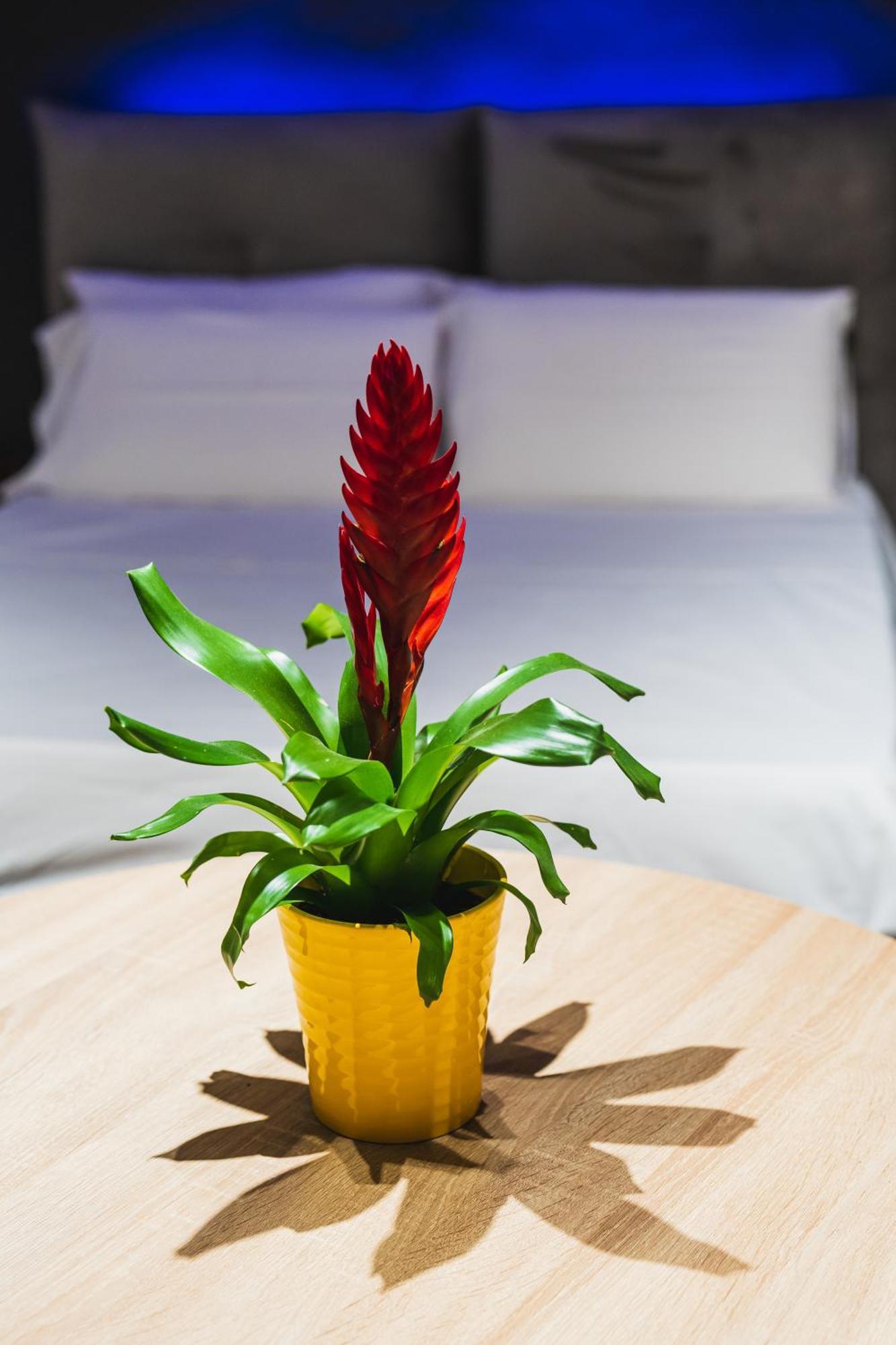 Arcolobello B&B Aparthotel コラート エクステリア 写真